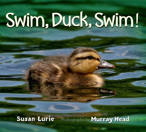 Swim duck - duck,, swim!